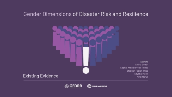 Disaster Risk and Resilience in the light of gender inequalities