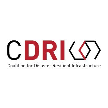 Calls for ABSTRACT and PAPERS for Resilient Infrastructures (by CDRI)