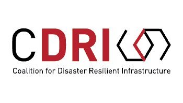 Calls for ABSTRACT and PAPERS for Resilient Infrastructures (by CDRI)